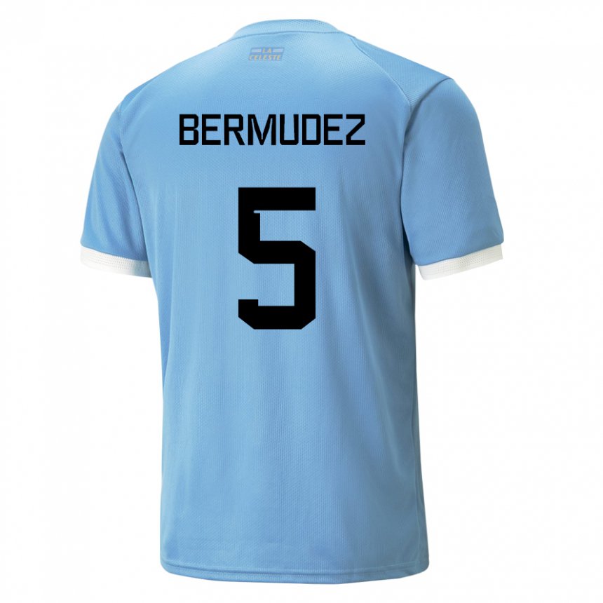 Mann Uruguays Karol Bermudez #5 Blå Hjemmetrøye Drakt Trøye 22-24 Skjorter T-skjorte