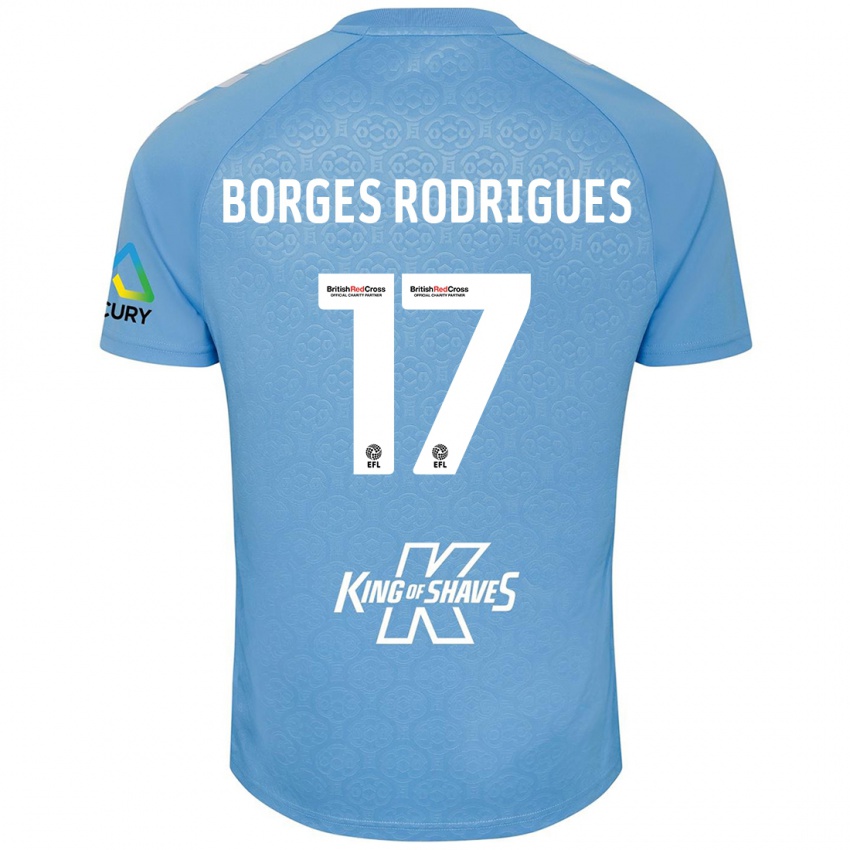 Barn Raphael Borges Rodrigues #17 Blå Hvit Hjemmetrøye Drakt Trøye 2024/25 Skjorter T-Skjorte